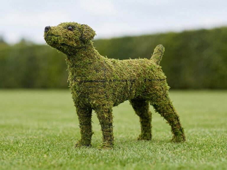 14-Inch Mossed Jack Russell Topiary
