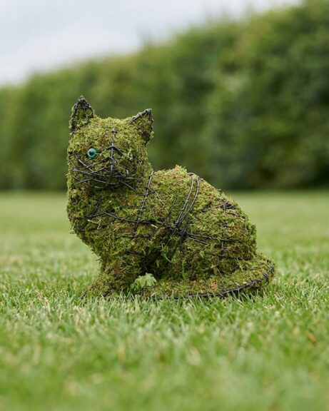 Sitting Kitten Topiary, 9 in (Mossed)