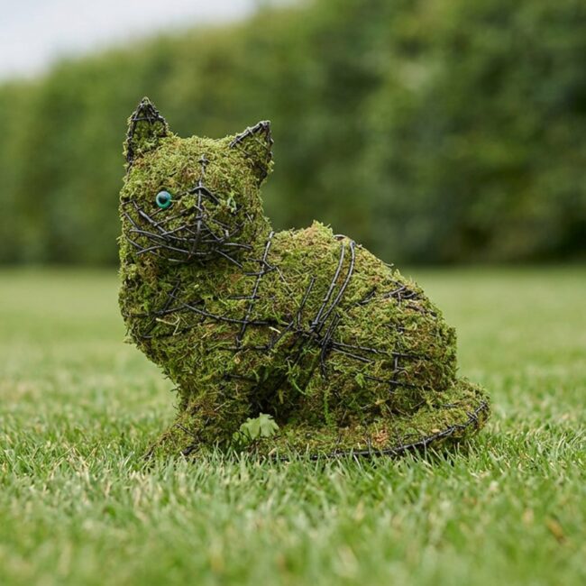Sitting Kitten Topiary, 9 in (Mossed)