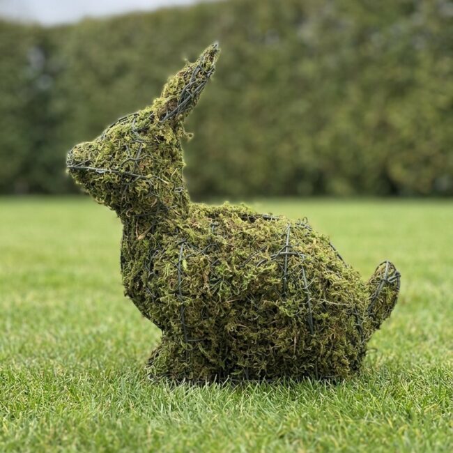 Life-Size Bunny Topiary, 14 inch Sphagnum Mossed