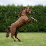 Life-Size Rearing Horse Sculpture