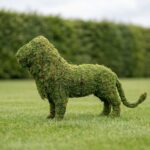 Lion Topiary, 25 inch Mossed Wire Frame