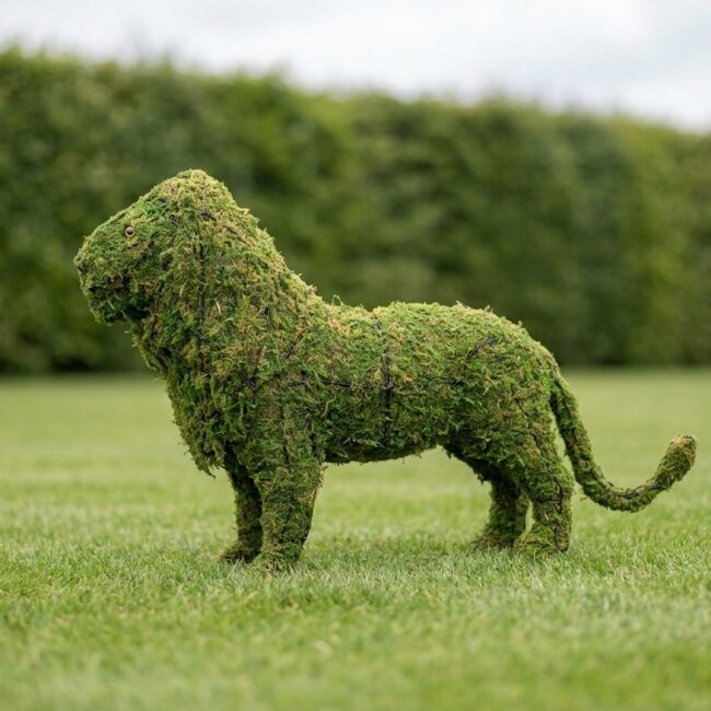 Lion Topiary, 25 inch Mossed Wire Frame
