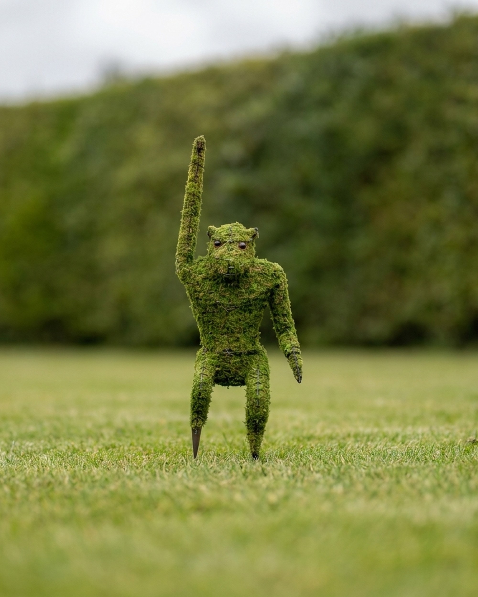 Hanging Monkey Topiary, Mossed, 39 in