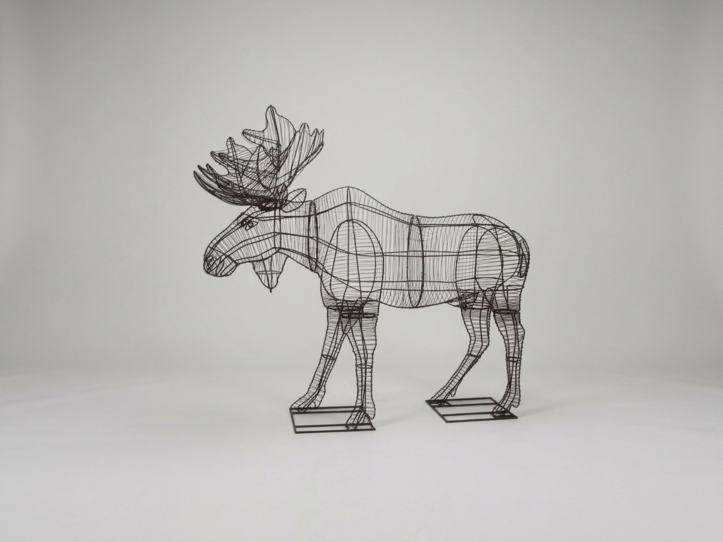 Moose Topiary, Wire frame, 60 in