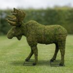Moose Topiary, 60 Inch (Mossed)