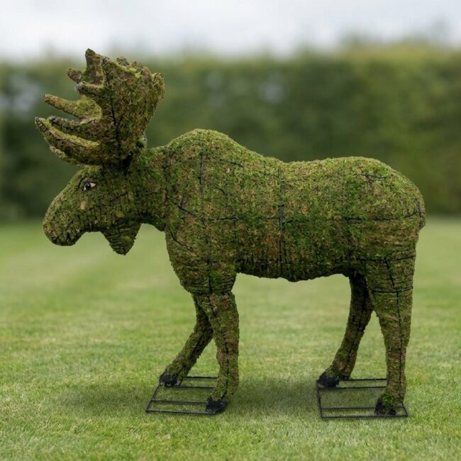 Moose Topiary, 60 Inch (Mossed)