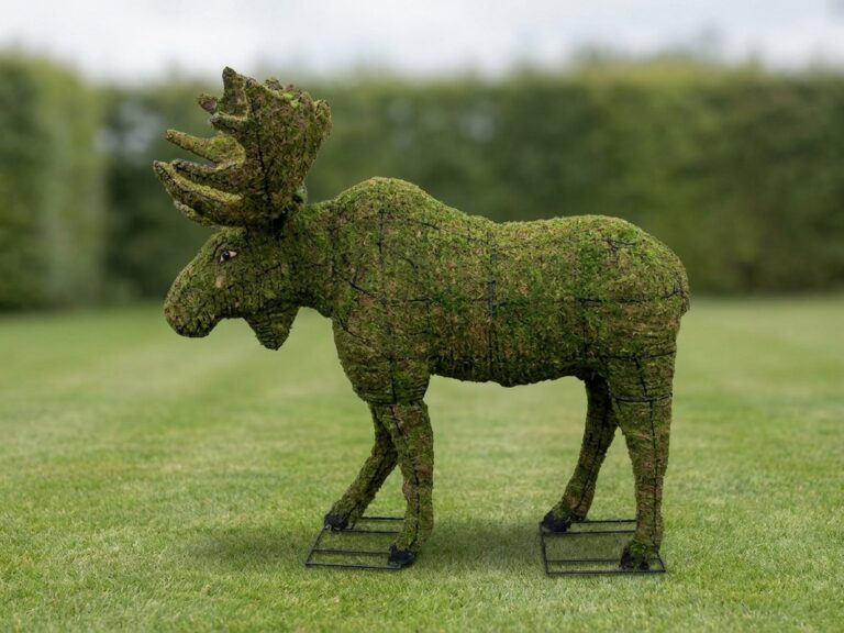 Moose Topiary, 60 Inch (Mossed)