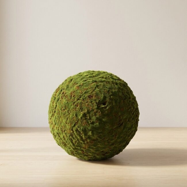 Preserved Moss Ball Topiary, 19–35 in