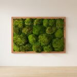Moss Ball Wall Art