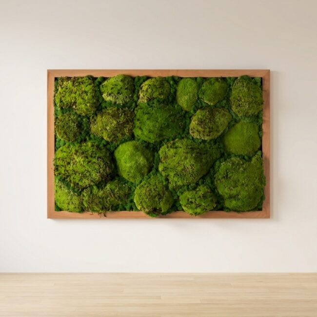 Moss Ball Wall Art