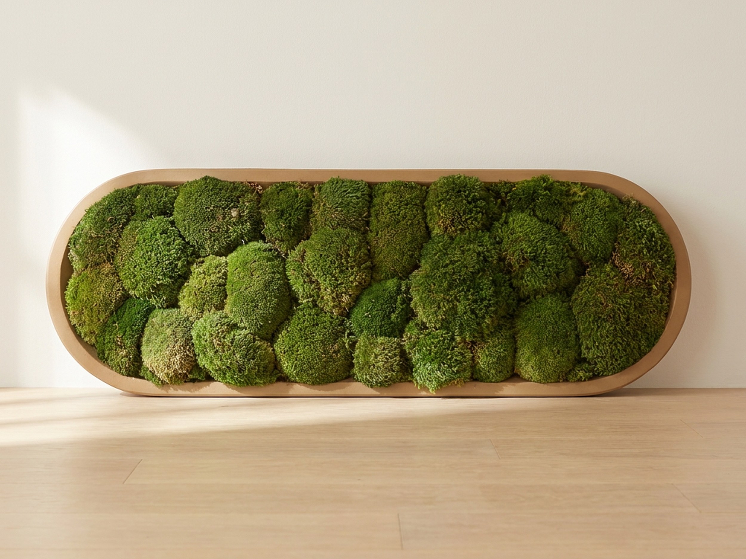 Moss Ball Wall Art in a Flat Bowl Tray