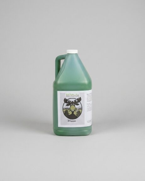 Moss Green Spray, 4 Litre