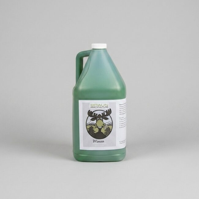 Moss Green Spray, 4 Litre