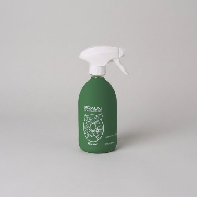 Moss Green Spray for Topiary, 500 ml (6 Bottles)