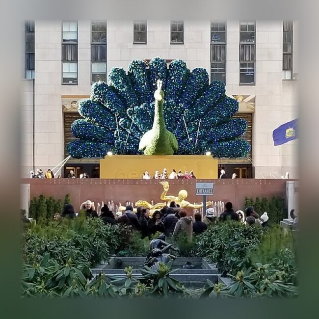 NBC Peacock Topiary, 40 Feet Tall