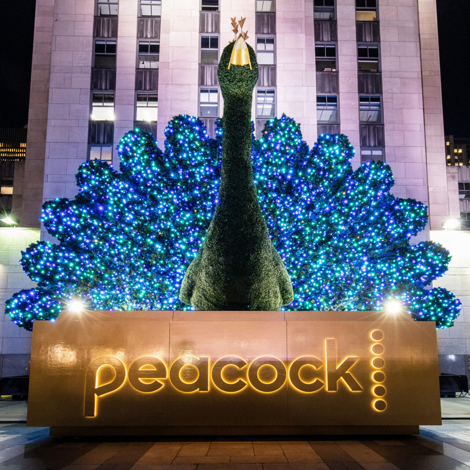The 40-foot NBC Peacock topiary lit at night in Rockefeller Plaza, built by TopiaryTree
