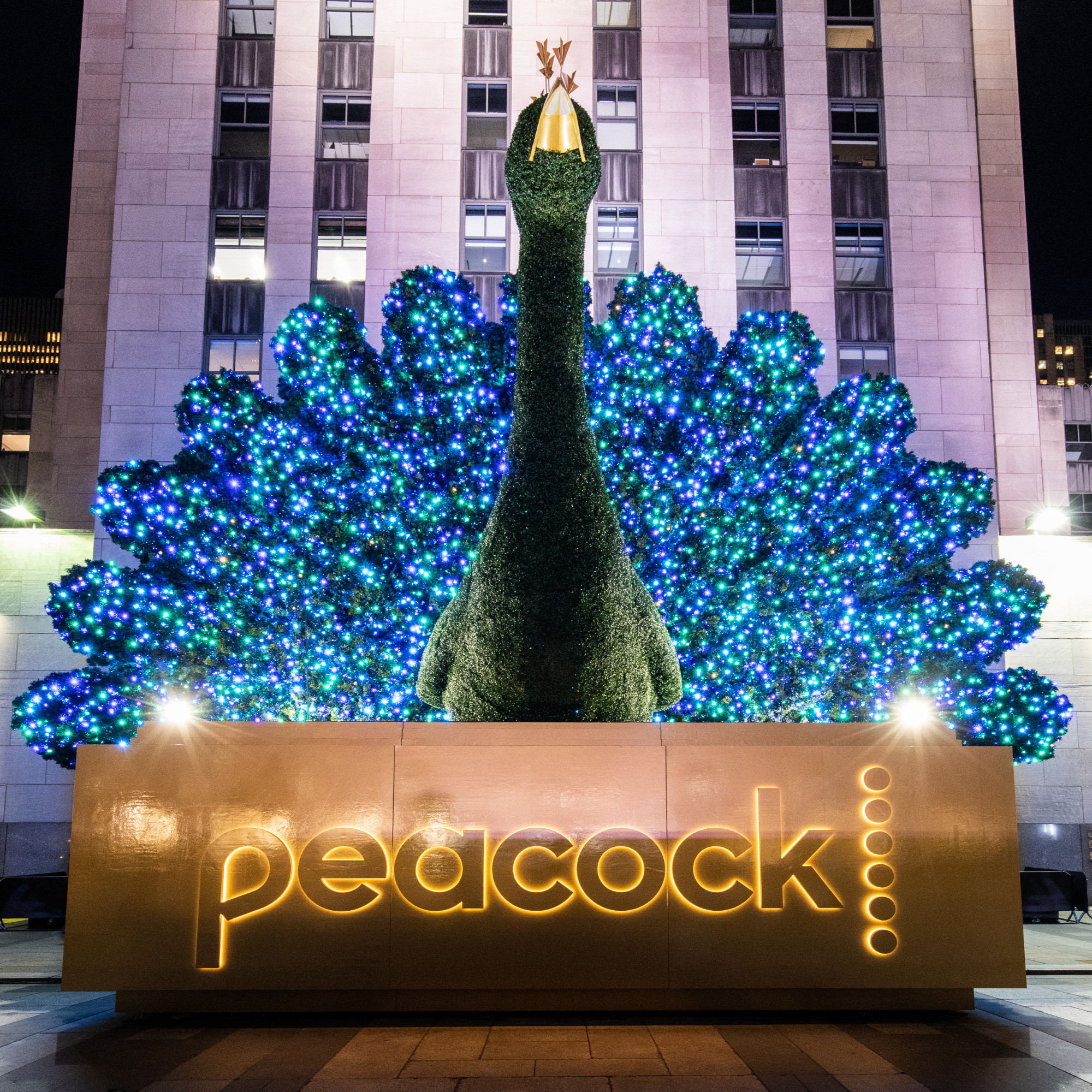 The NBC Peacock in place