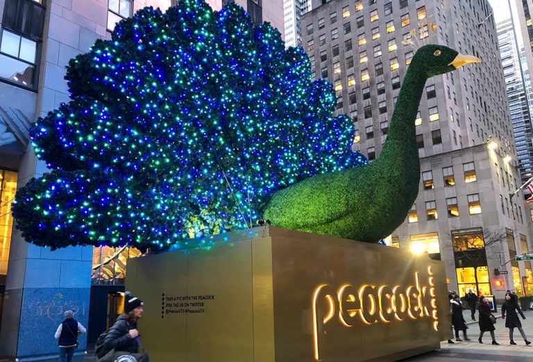 The NBC Peacock