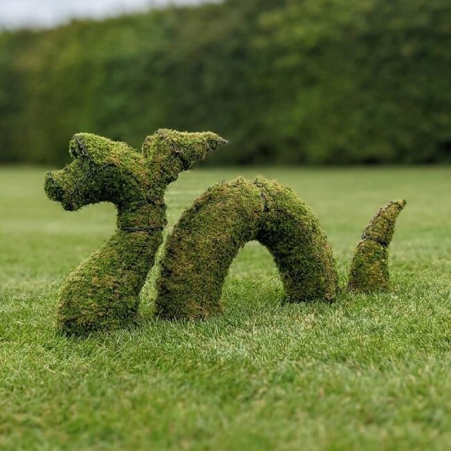 Nessie Topiary, 38 Inch (Mossed), 24–38 in