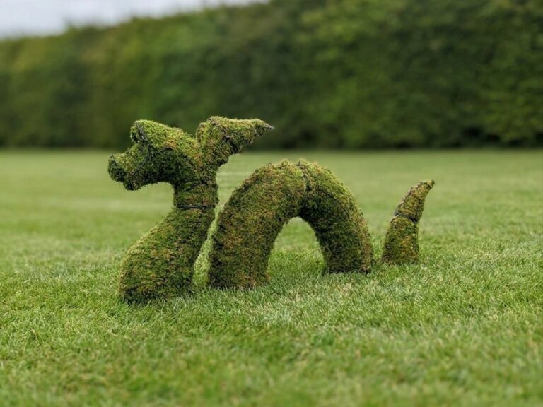 Nessie Topiary, 38 Inch (Mossed)