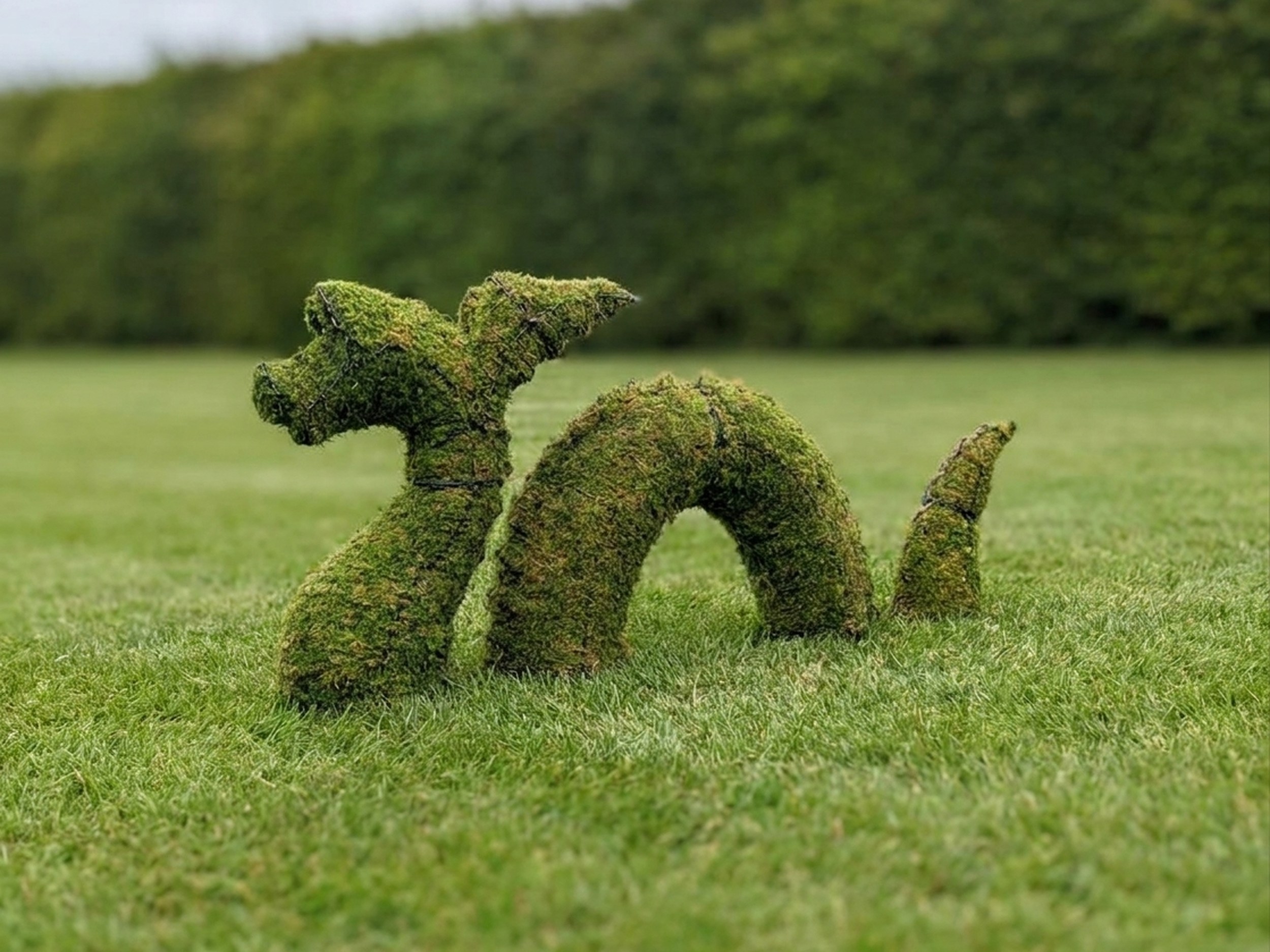 Nessie Topiary, 38 Inch (Mossed)
