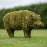 Pig Mossed Topiary, 12 in