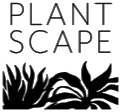 Plantscape