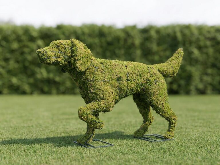 Mossed Pointer Topiary, 32 in
