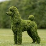 Mossed Poodle Topiary, 17 inch