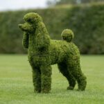 Poodle Topiary, 32 in. (Mossed)