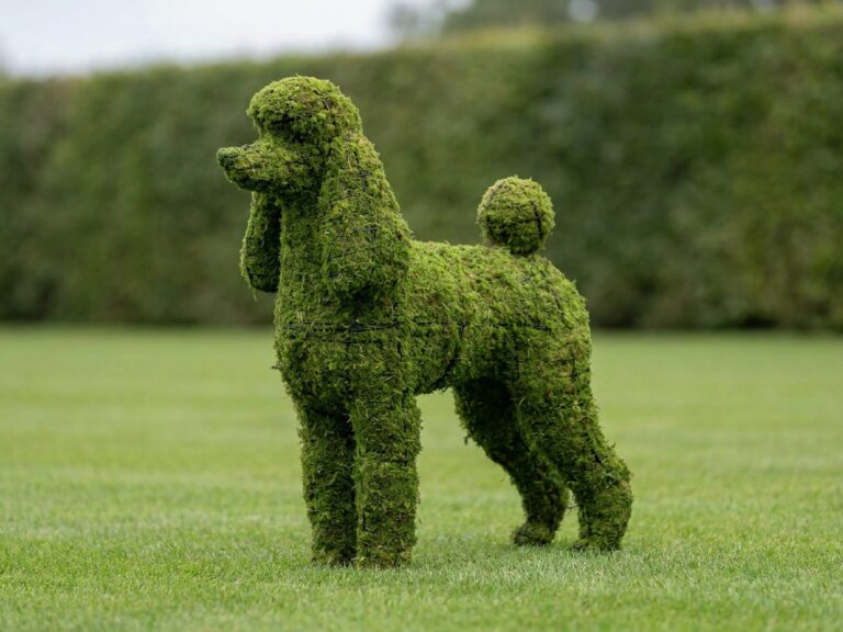 Poodle Topiary, 32 in. (Mossed)