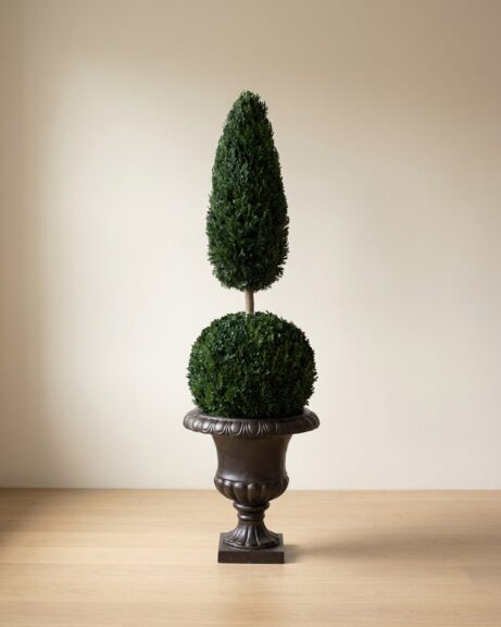 Preserved Juniper Ball Cone Topiary, 45 to 50 inches
