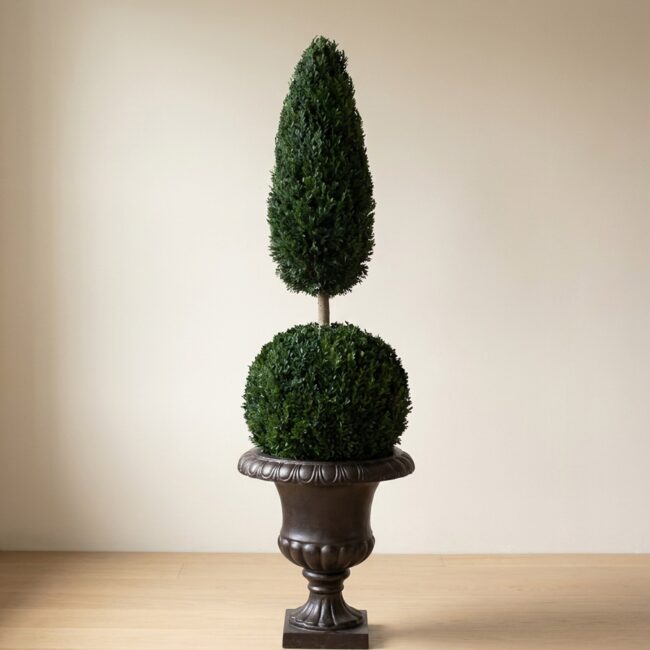 Preserved Juniper Ball Cone Topiary, 45 to 50 inches