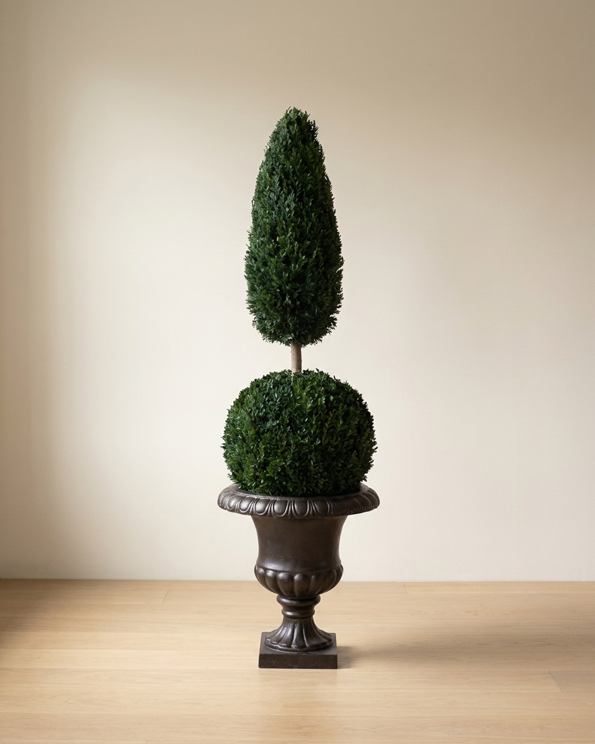 Juniper Ball Cone Topiary, Preserved, 45–50 in Juniper Ball Cone Topiary, Preserved, 45–50 in