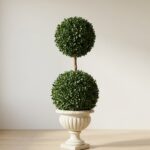 Preserved Double Ball Boxwood Topiary, 50 Inch
