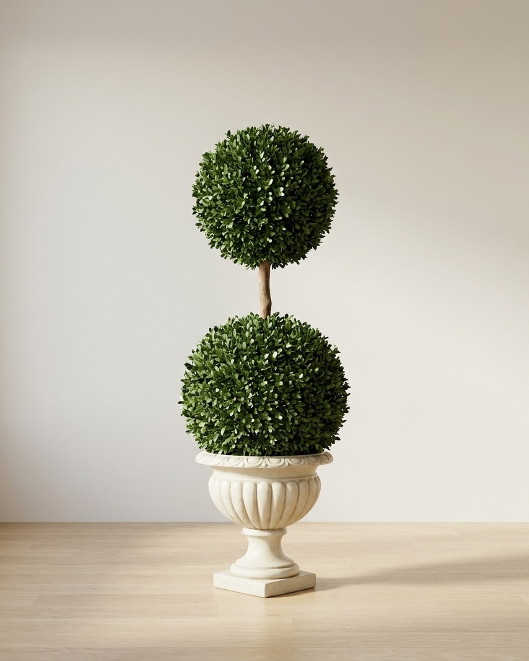 Double Ball Boxwood Topiary, Preserved, 50 in