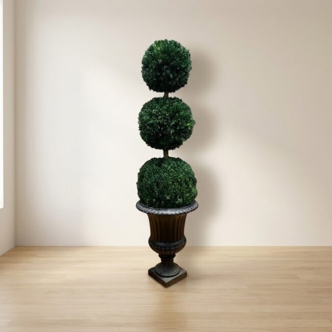 Preserved Triple Ball Topiary, 72 in