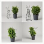 Rabbit DIY Topiary Shaping Frame, 22 x 8 x 24 in