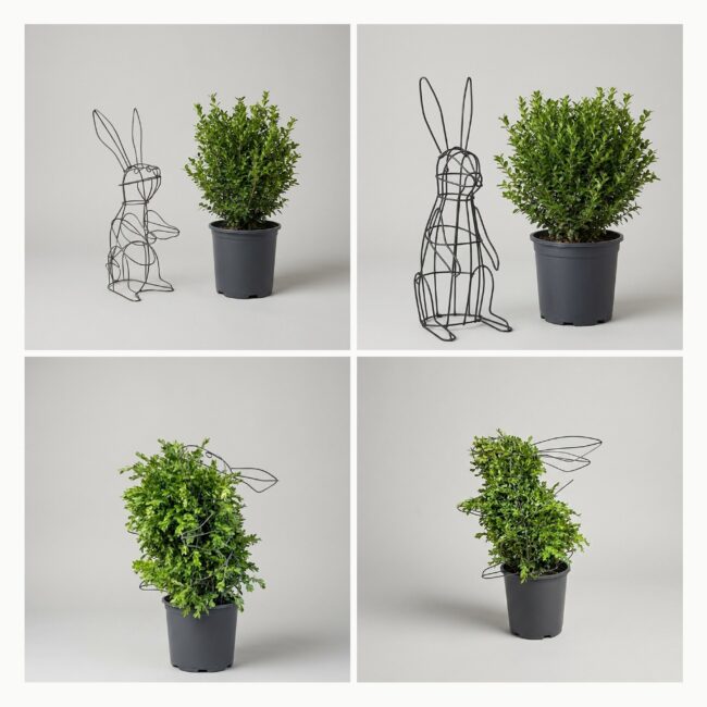 Rabbit DIY Topiary Shaping Frame, 22 x 8 x 24 in