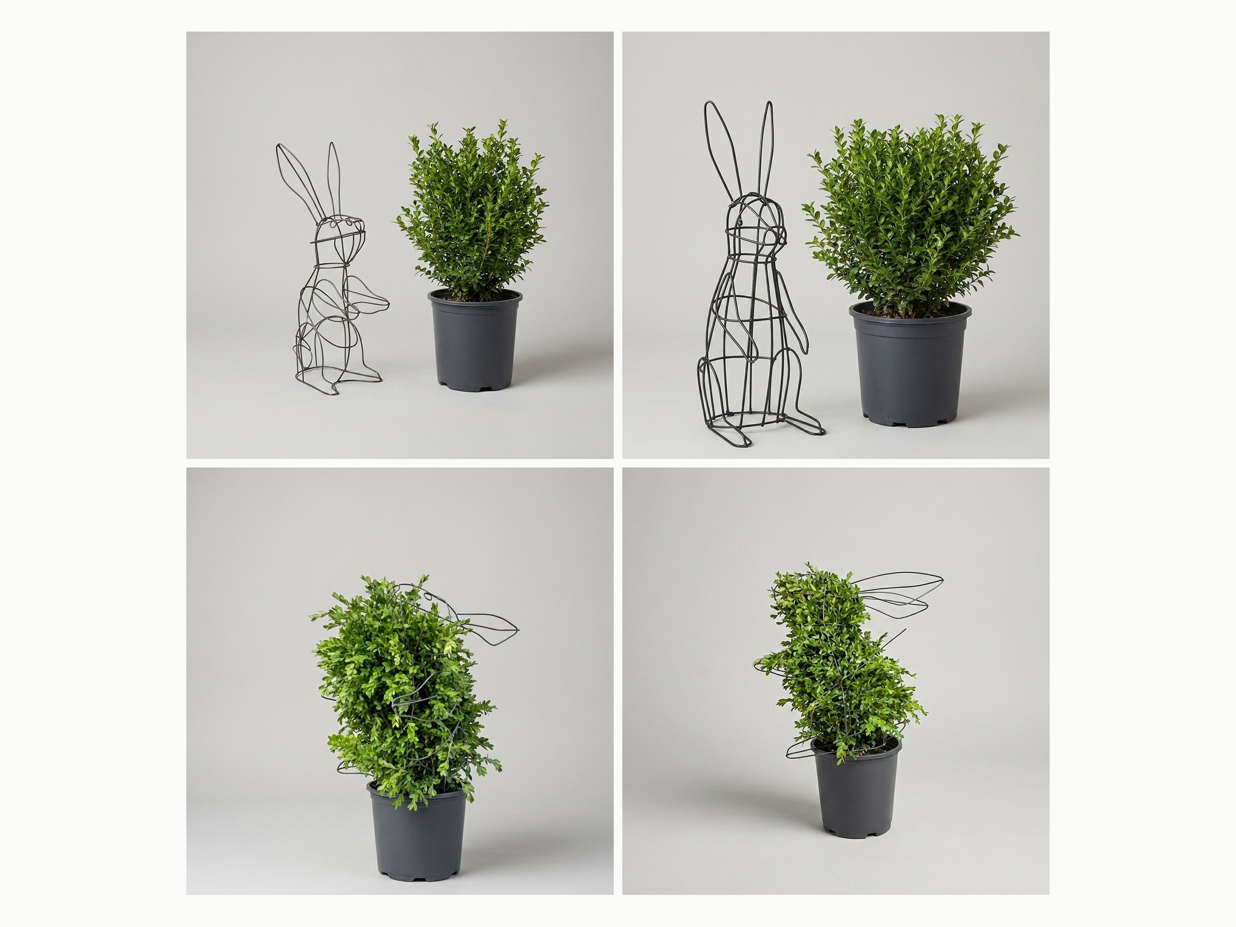 Rabbit DIY Shaping Topiary, Wire frame, 22 x 8 x 24 in Rabbit DIY Shaping Topiary, Wire frame, 22 x 8 x 24 in
