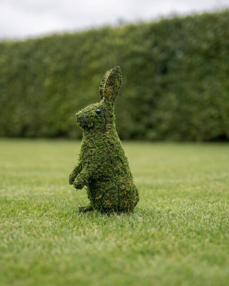 Rabbit Topiary, Sitting Upright, 13 in (Mossed)