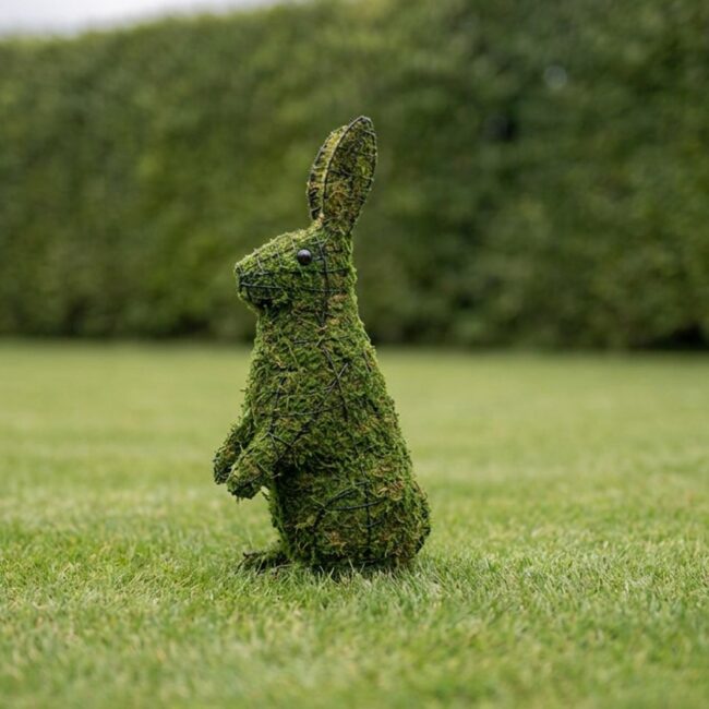 Rabbit Topiary, Sitting Upright, 13 in (Mossed), 13–34 in