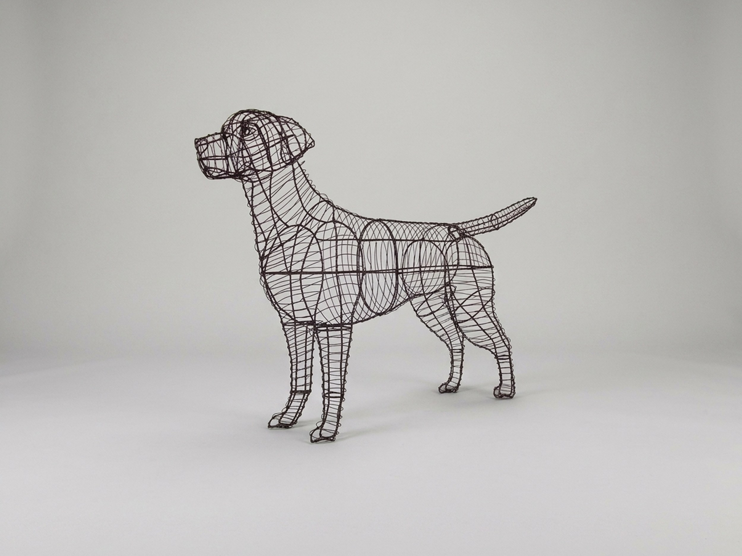 Labrador Retriever Topiary, Wire frame, 30 in Labrador Retriever Topiary, Wire frame, 30 in