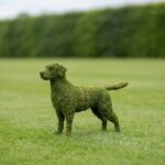 Labrador Retriever Topiary, 30 inch (Mossed)