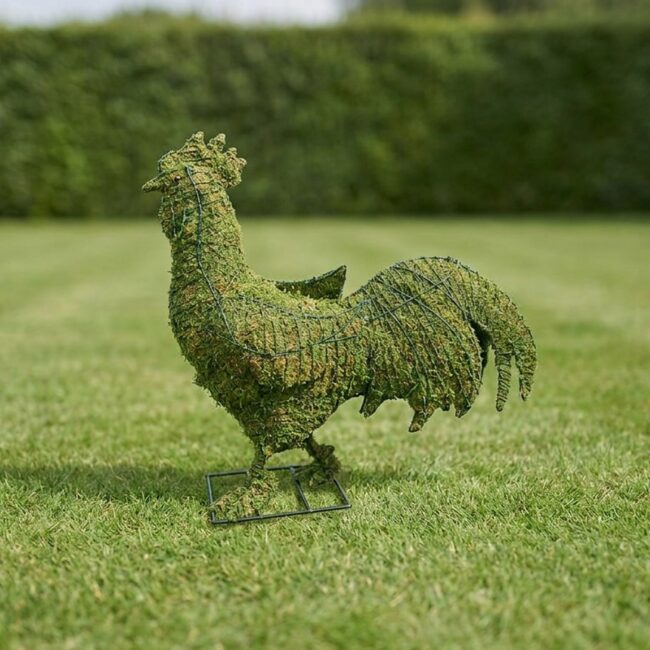 Rooster Topiary, 29 in (Mossed)