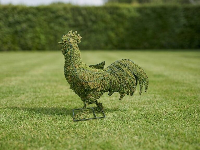 Rooster Topiary, 29 in (Mossed)