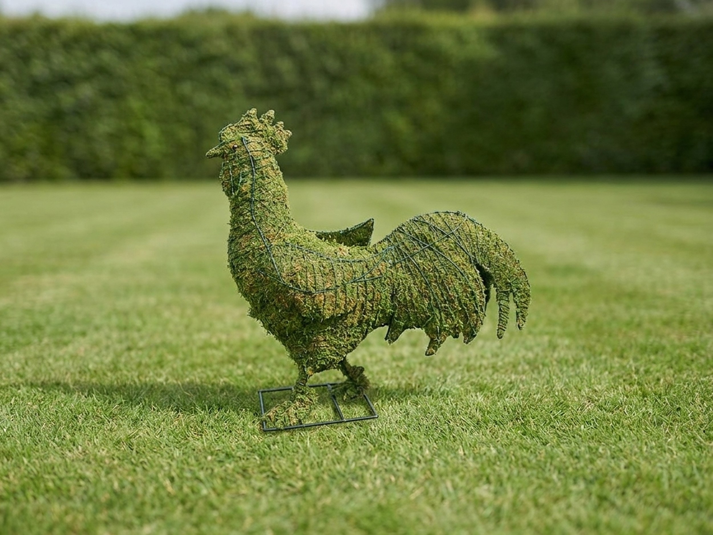 Rooster Topiary, Mossed, 29 in Rooster Topiary, Mossed, 29 in