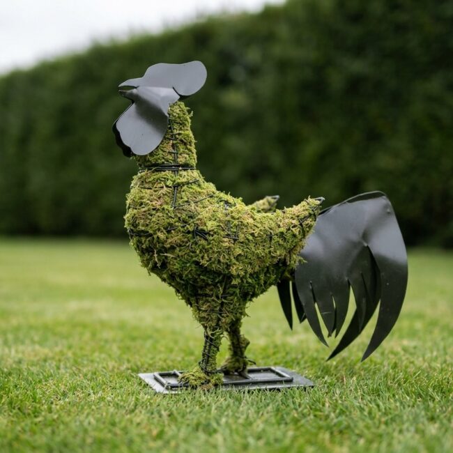 Rooster Topiary, 28 Inch (Mossed)