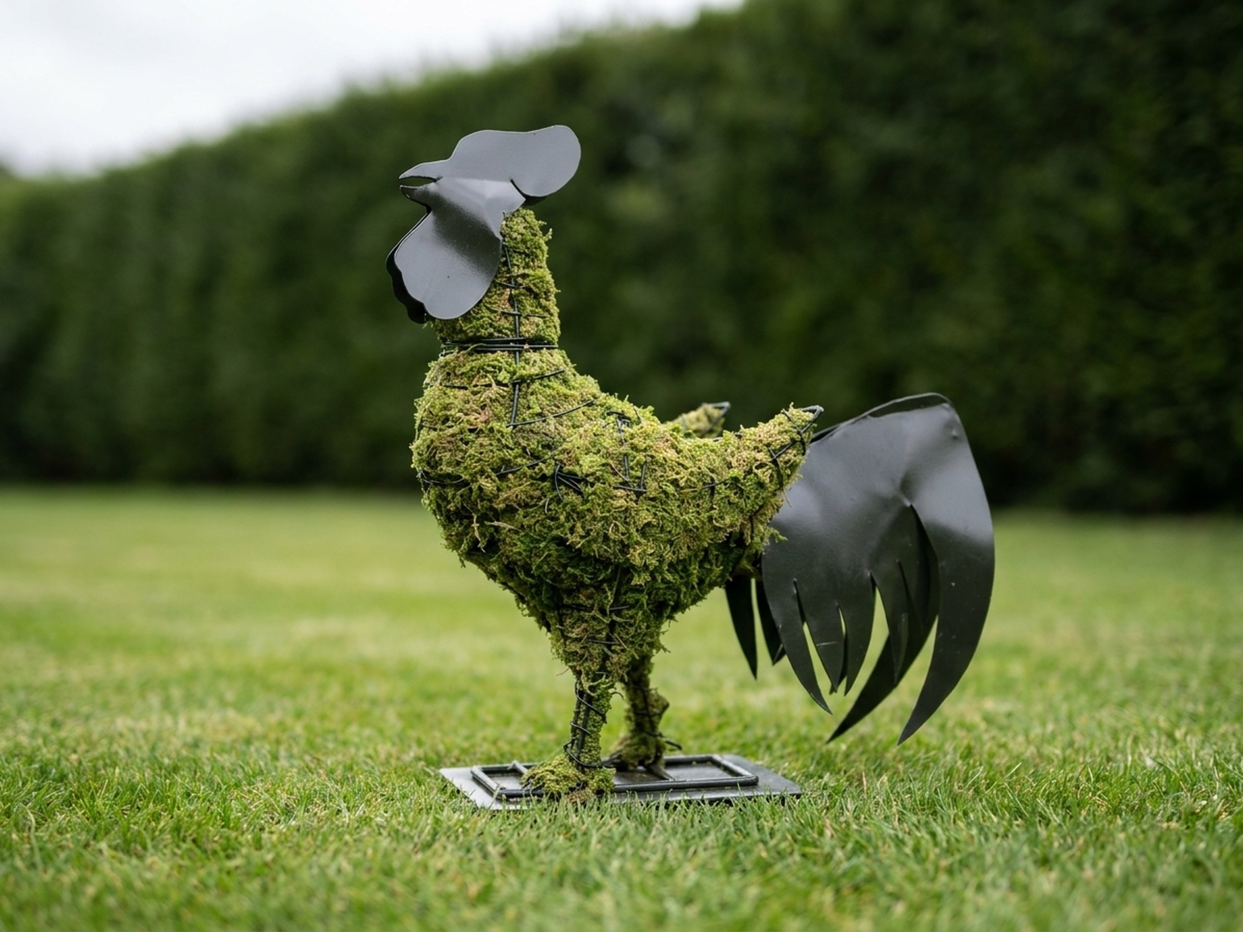 Rooster Topiary, Mossed, 28 in Rooster Topiary, Mossed, 28 in